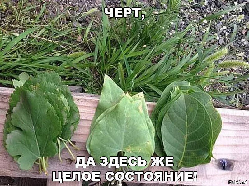 Целое состояние