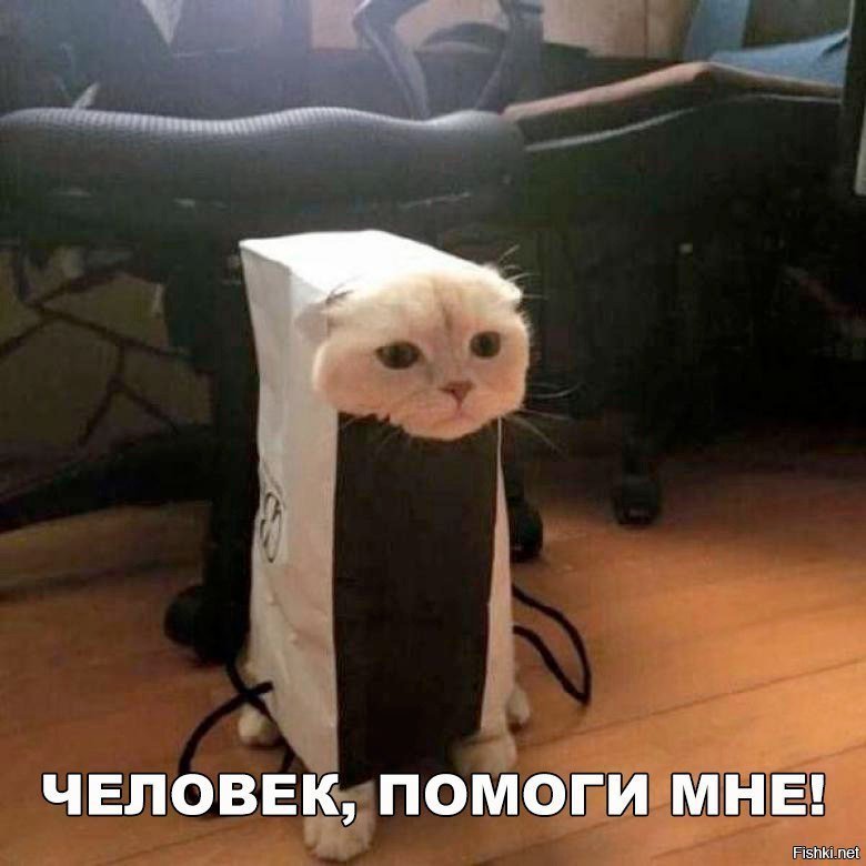 Help