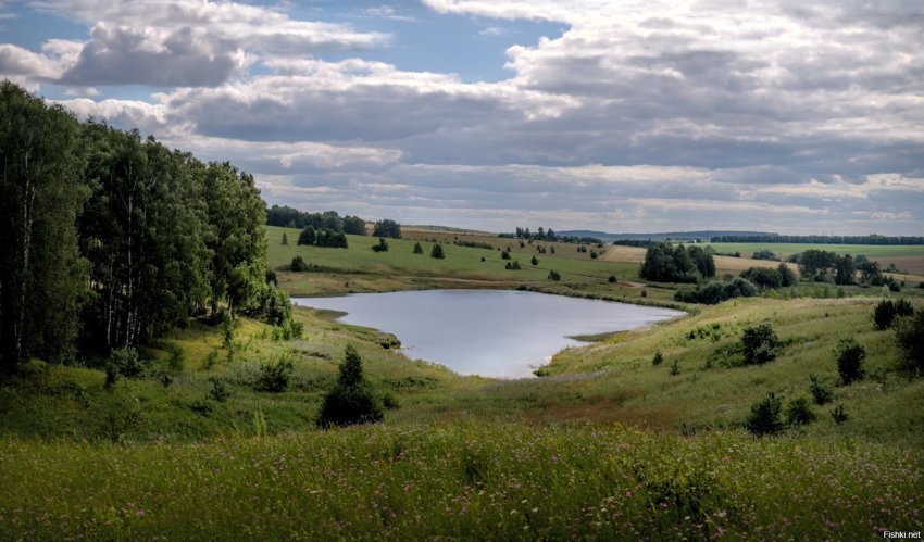 Солянка от 21.06.2018