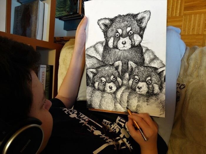 15-летний художник рисует животных с фотографической точностью