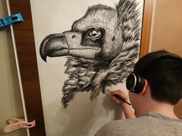 15-летний художник рисует животных с фотографической точностью