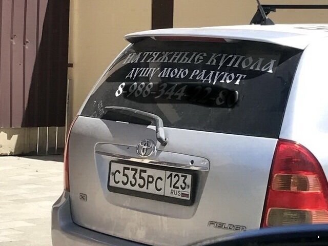 Автовсячина