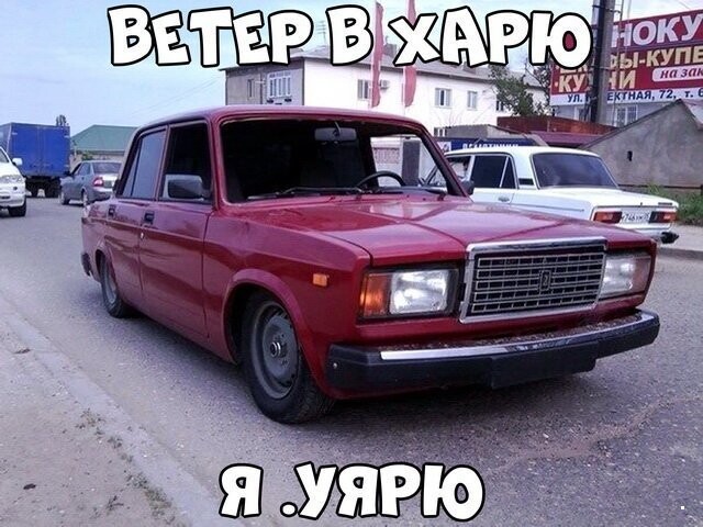 Автовсячина