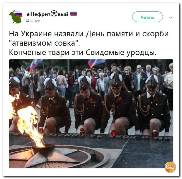 Политические коментарии - 514