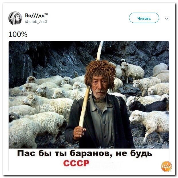 Политические коментарии - 514