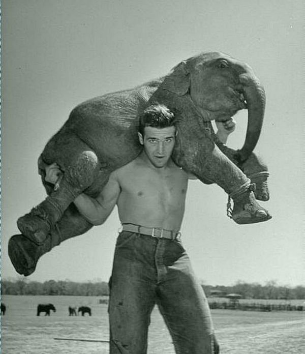 Жизнь в цирке. Фотография Лумиса Дин, 1952