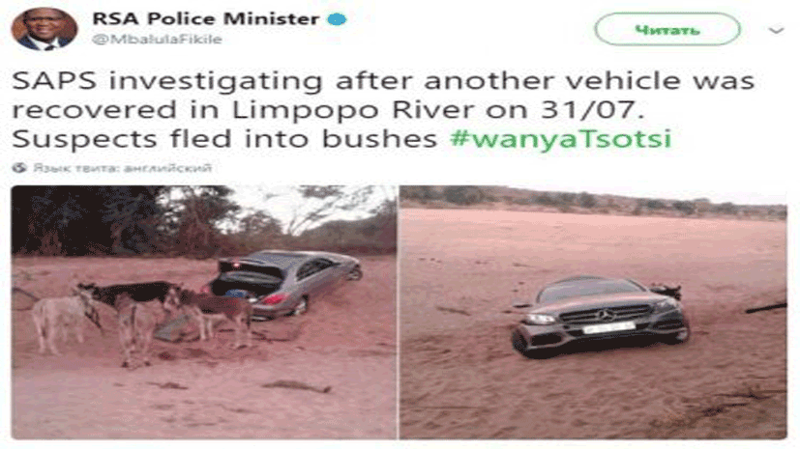 Африканские контрабандисты перегоняли Mercedes на ослах