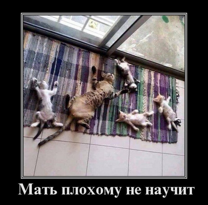 Мать плохому не научит