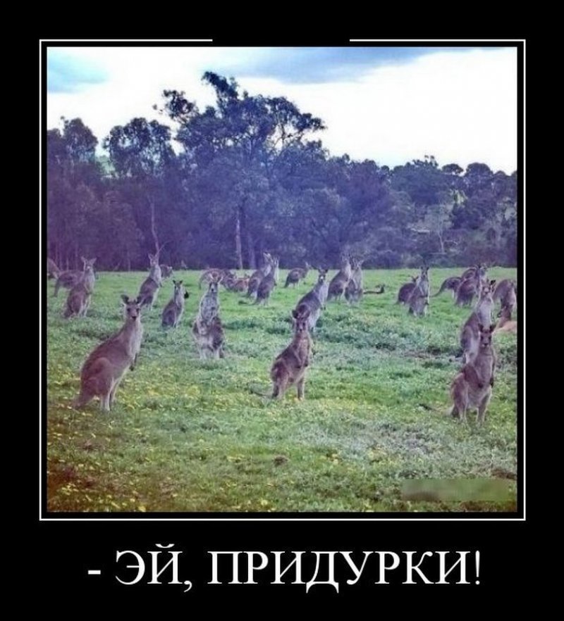 Эй, придурки