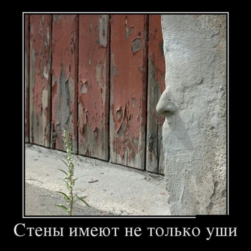 Стены имеют не только уши