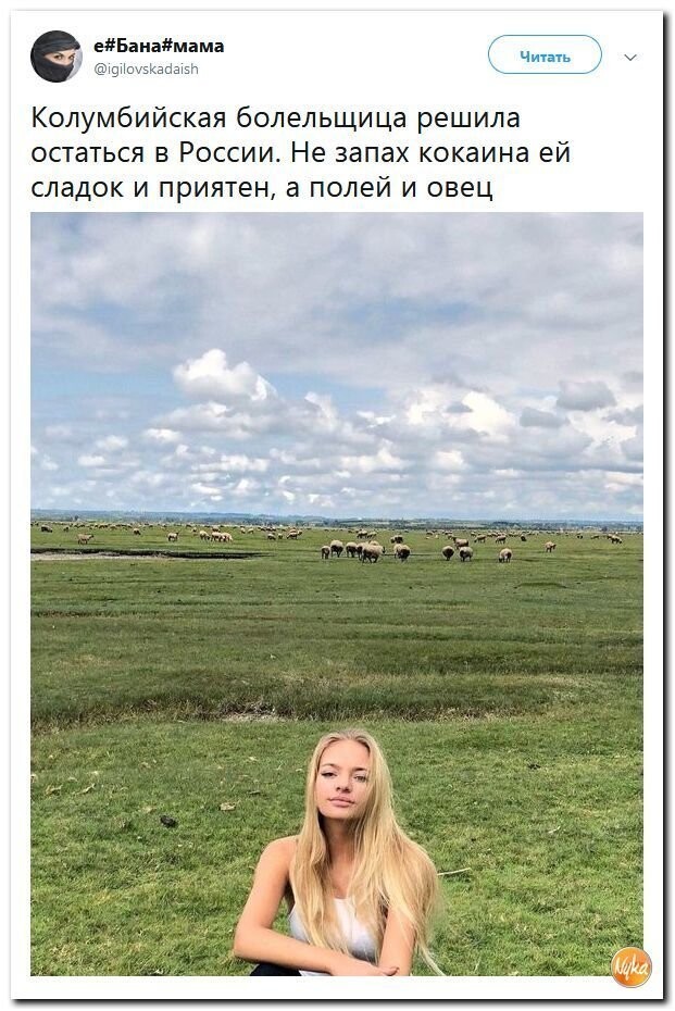 Политические коментарии - 515