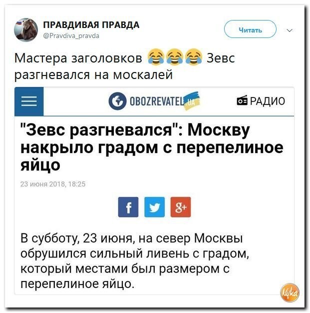 Политические коментарии - 515