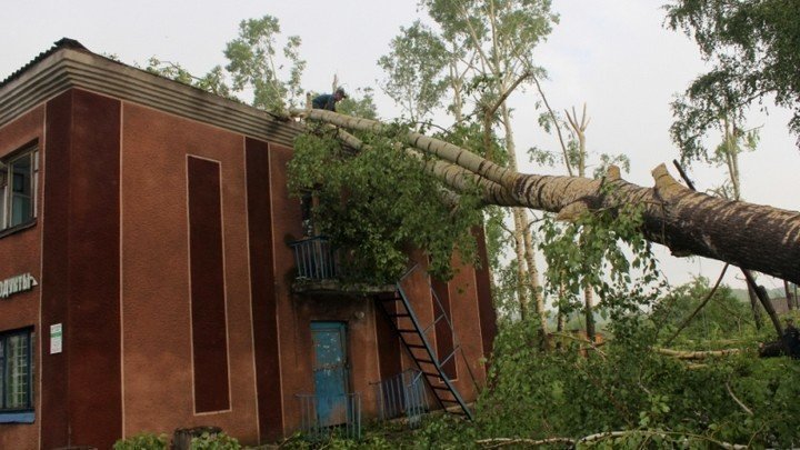 Новый удар стихии. Последствия ночного урагана устраняют в Целинном районе