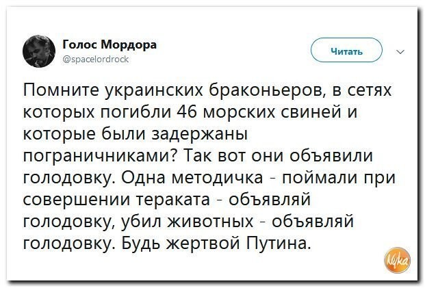 Политические коментарии - 516