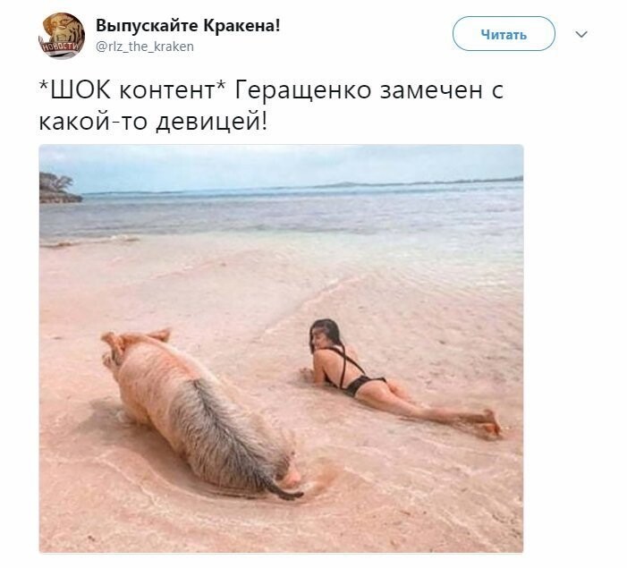 Политические коментарии - 516