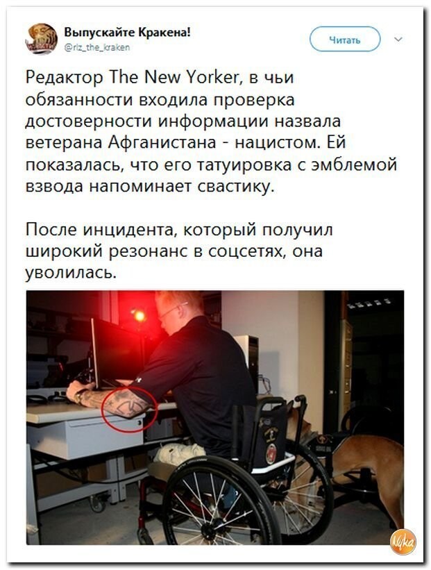 Политические коментарии - 516