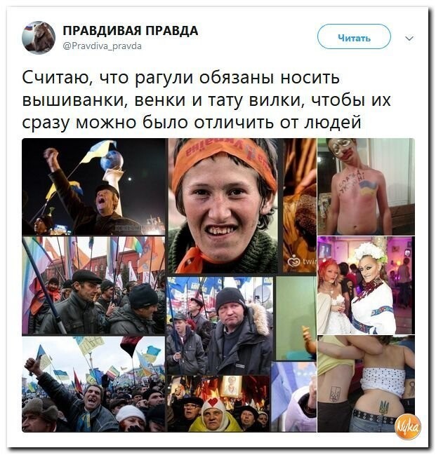 Политические коментарии - 516