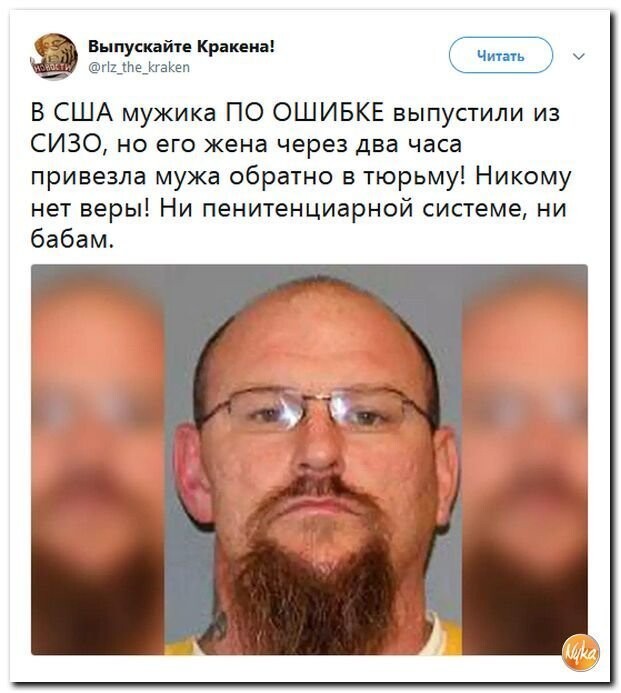 Политические коментарии - 516