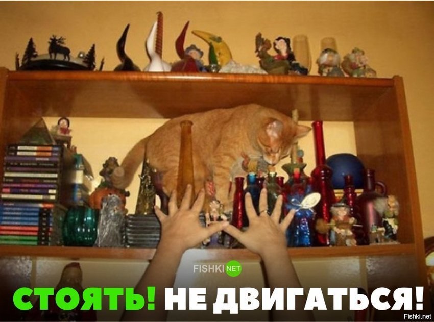 Не двигайся!