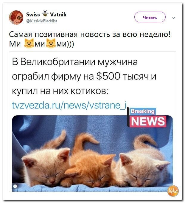 Политические коментарии - 517