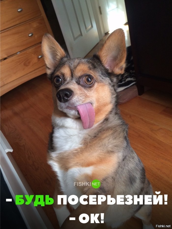 Будь серьёзней