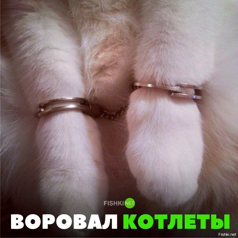 За воровство котлет