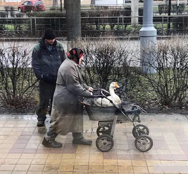 Только в России
