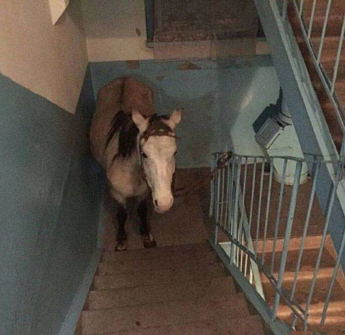 Только в России