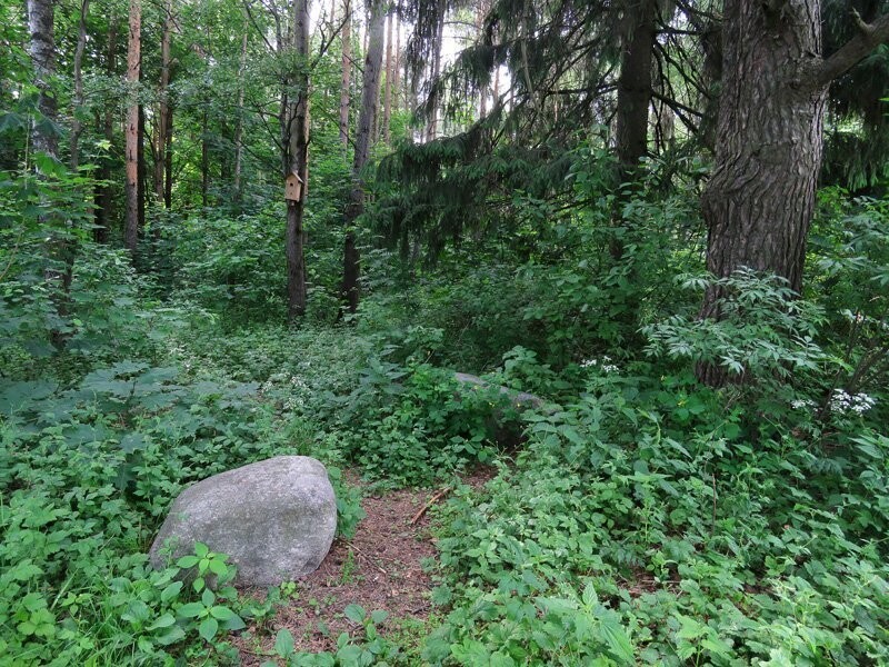 Звёздный городок. Каких не берут в космонавты?