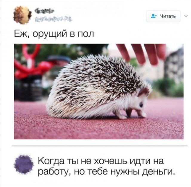 Мы все упали !