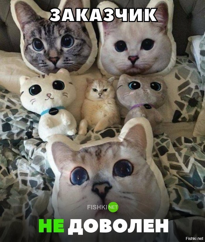 Не доволен