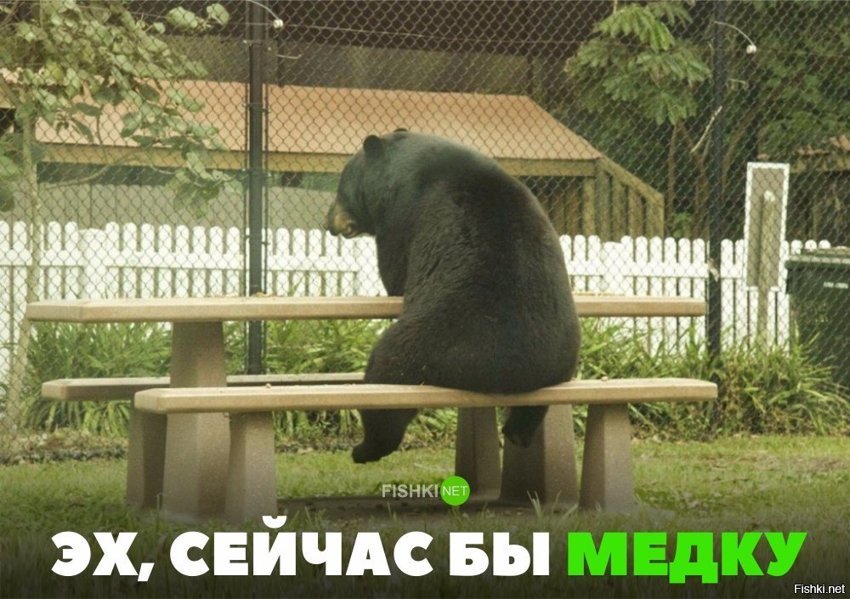 Мёда бы...