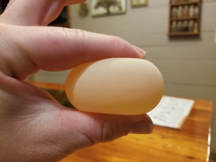 Гибкое яйцо