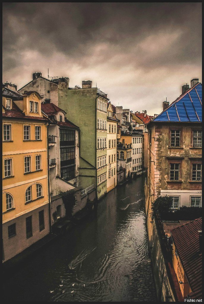 Дождь,  он и в Праге дождь