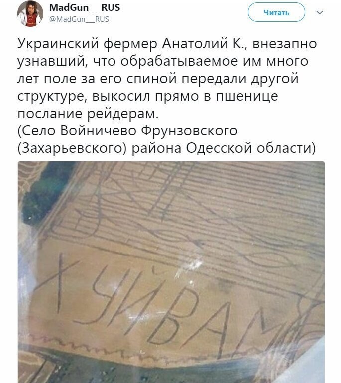 Политические коментарии - 521