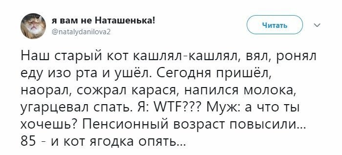 Политические коментарии - 521