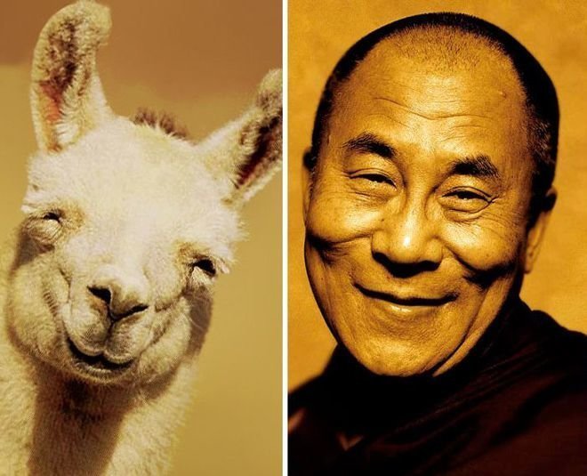 лама и Далай-лама