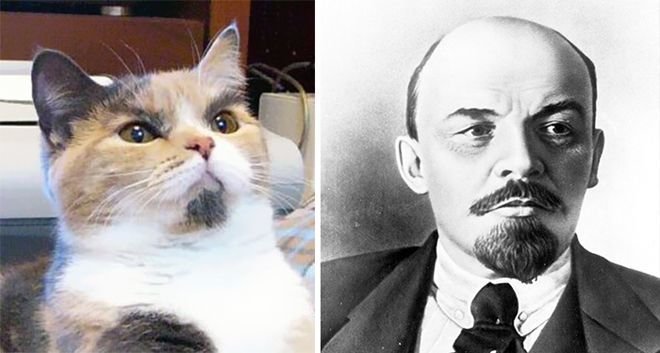 Все говорили Ленин злой, а он оказывается котик