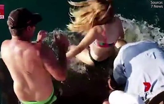 Акула утащила девушку в воду при попытке покормить ее с рук: видео