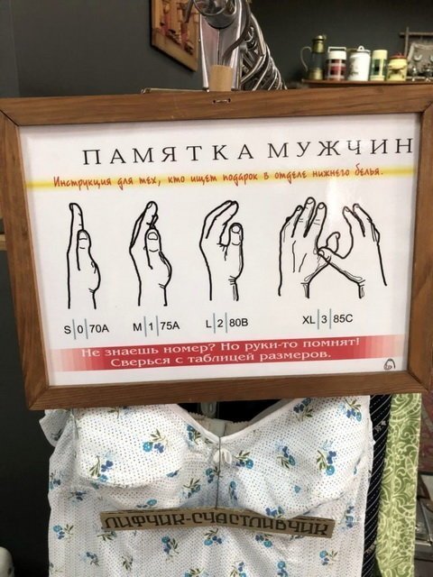 Прикольные картинки