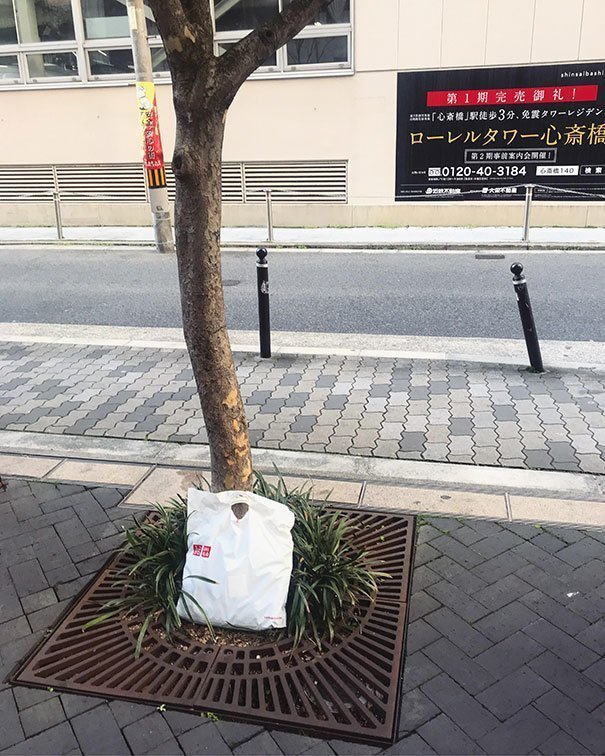 11. "Я забыл пакет с покупками на одной из улиц в Осаке. Когда вернулся поискать его, увидел, как кто-то положил его в целости под дерево"