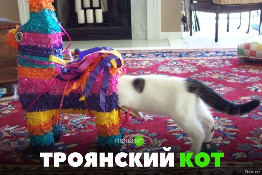 Троянский кот