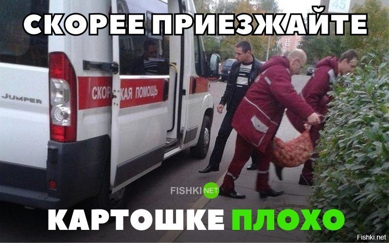 Картошке плохо