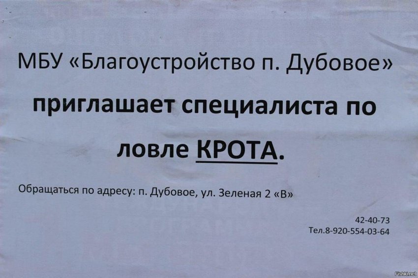 Всё крот, тебе пи*дец
