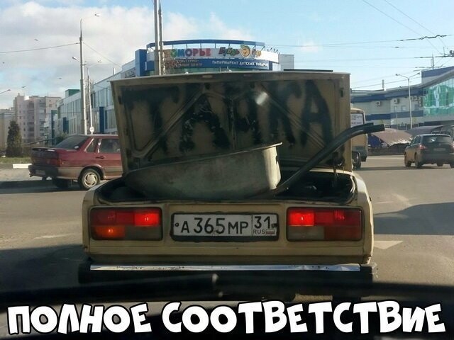 Автовсячина