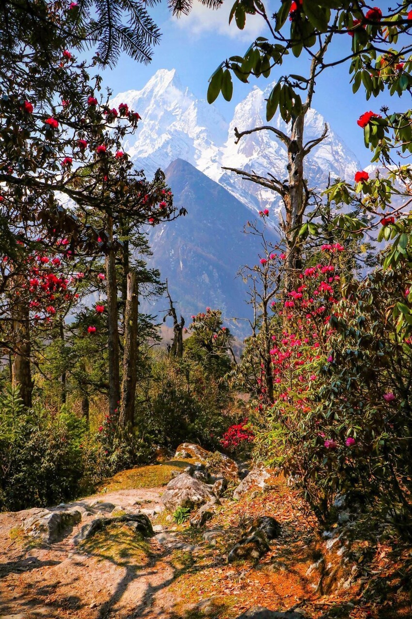 Гималаи, Непал