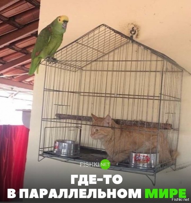 Где-то в параллельном мире