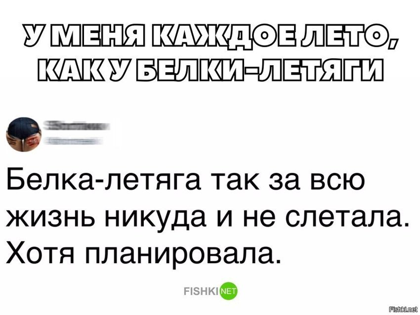 Каждое лето как у белки летяги