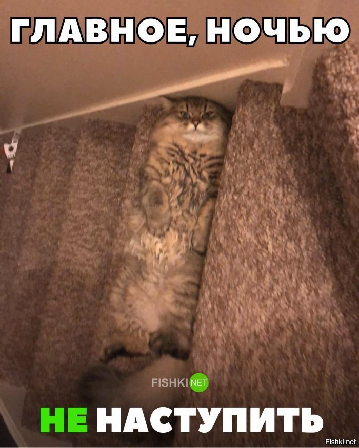 Главное ночью не наступить