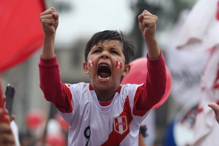 Юный перуанский болельщик на матче Дания — Перу 